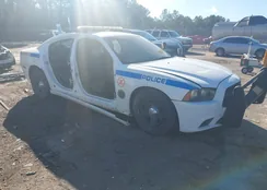 2B3CL1CT1BH582304: 42446759