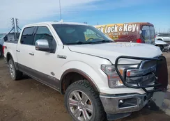 1FTFW1E10KFC64819: 42451983