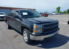 3GCPCREC9FG354066: 42451549