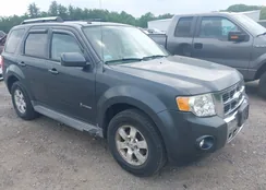 1FMCU59309KB22463: 42454455