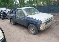 1N6ND11S7KC318034: 42456484