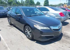 19UUB1F59FA010339: 42467644