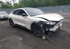 3FMTK3SU6PMA59906: 42469059