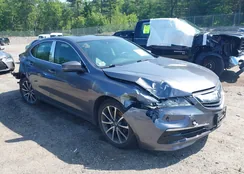 19UUB2F55HA005387: 42471236