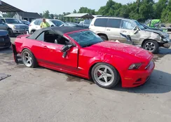 1ZVBP8EM5E5311820: 42481902