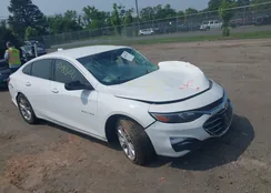 1G1ZF5SU5KF202991: 42483292