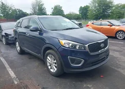 5XYPGDA33GG158847: 42484716