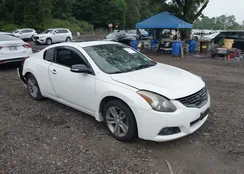 1N4AL2EP6CC173592: 42487271