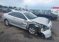 4T1CE38P55U963490: 42487817