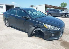 5NPE24AF6KH799962: 42487625