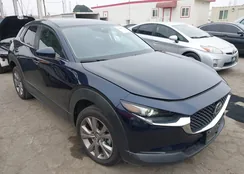 3MVDMACL0LM124223: 42493789