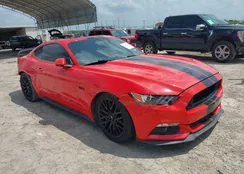 1FA6P8CF8F5413189: 42496521