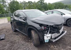 2T2GKCEZ7SC044244: 42503461