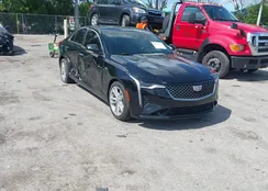 1G6DJ5RK1N0137152: 42505246