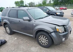 4M2CU87G39KJ11382: 42505528