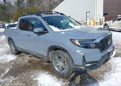 5FPYK3F73NB035246: 41532768