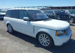 SALMF1E48CA387325: 41549794