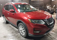 5N1AT2MV5KC765294: 41549468