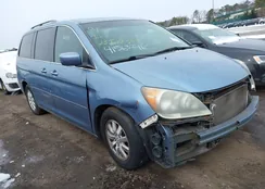 5FNRL38668B007380: 41563246