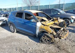 KM8J3CA42LU174725: 41565584