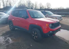 ZACNJBC13KPJ99140: 41607662