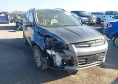 1FMCU0JX4EUB28783: 41645448