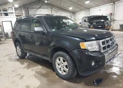 1FMCU0E74BKB83123: 41646213