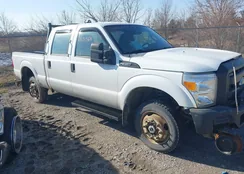 1FT7W3B68BEC03398: 41651562