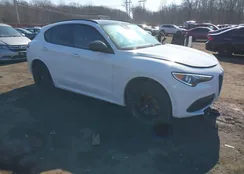 ZASPAKBN2M7D09716: 41653963