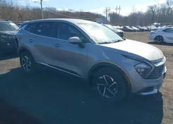 KNDPUCAG7P7096193: 41657059