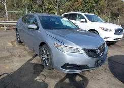 19UUB1F33FA011663: 41674619