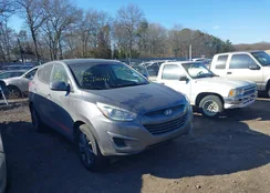 KM8JTCAF7EU849392: 41701883