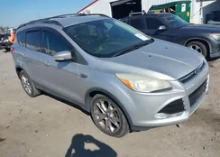 1FMCU0HX9DUD41734: 41704686