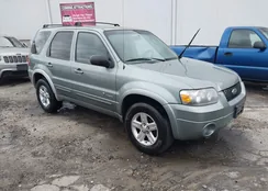 1FMCU96H36KC35925: 41726540