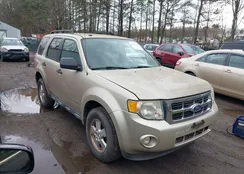 1FMCU0D77BKB74840: 41736150