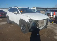 KM8JBCA13NU020844: 41743515