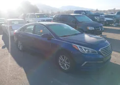 5NPE24AF8HH565251: 41762572