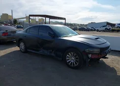 2C3CDXCT9KH700344: 41765925