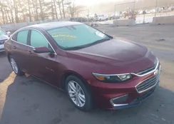 1G1ZJ5SU2GF315853: 41773569