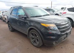 1FM5K8GT3DGC80696: 41775174