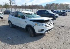 1FMCU9GDXKUC18811: 41777672