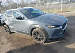 3MVDMBCM1PM573317: 41785371