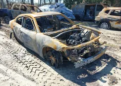 2C3CDXBG2NH219733: 41813080