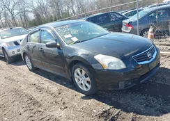 1N4BA41EX7C830846: 41831885