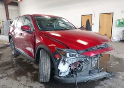 JM3KFBEM0N1569227: 41839619