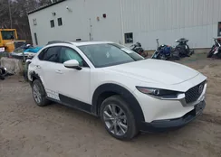 3MVDMBDM8MM216520: 41848596