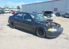 1HGEG8542NL032175: 41852754