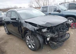 3MVDMBCMXPM553129: 41864876