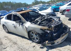 1N4AA5AP1EC445241: 41877428