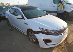 KNAGN4AD2F5086770: 41879515